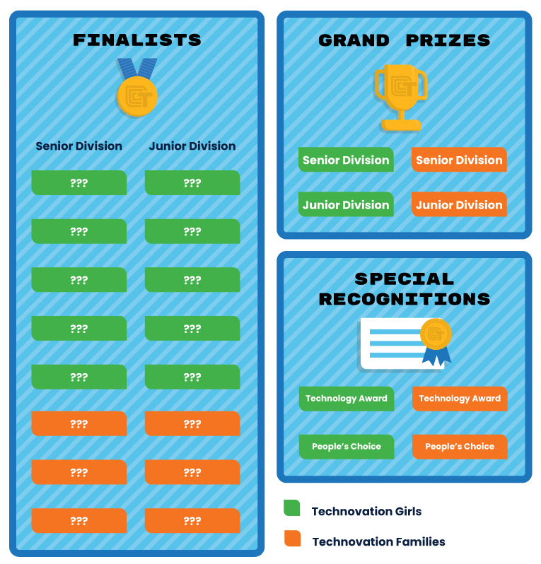 Technovation Global Award Structure